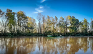 Paseo Publico Municipal