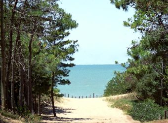 turismo_villa_gesell_bosques